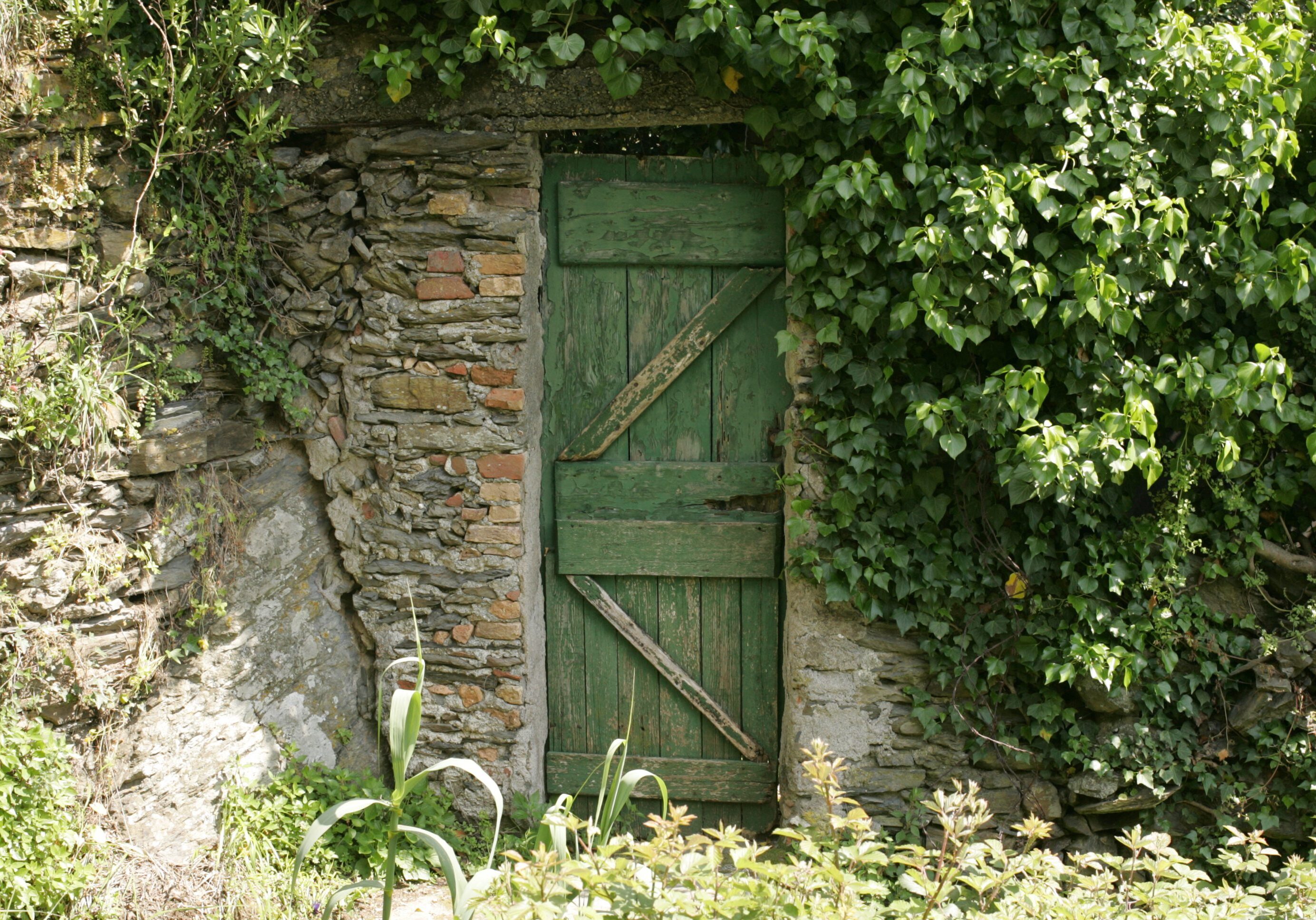 An interesting old doorway on the Italian Riviera in Cinque Terre.  please see my portfolio for more images.
